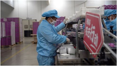 拼多多 農(nóng)云行動(dòng) 力推云南藍(lán)莓破圈