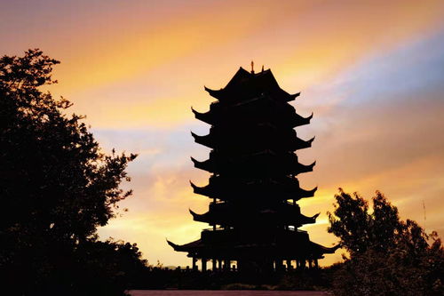 重慶大渡口 公園之城