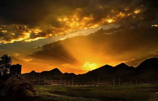 浮云游子意，落日故人情 古詩詞中的思鄉與友情